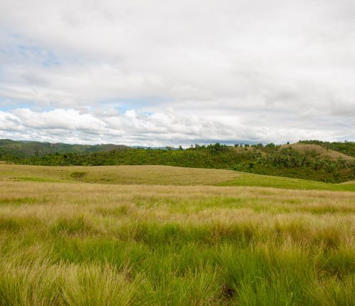 Sahamamy (22)